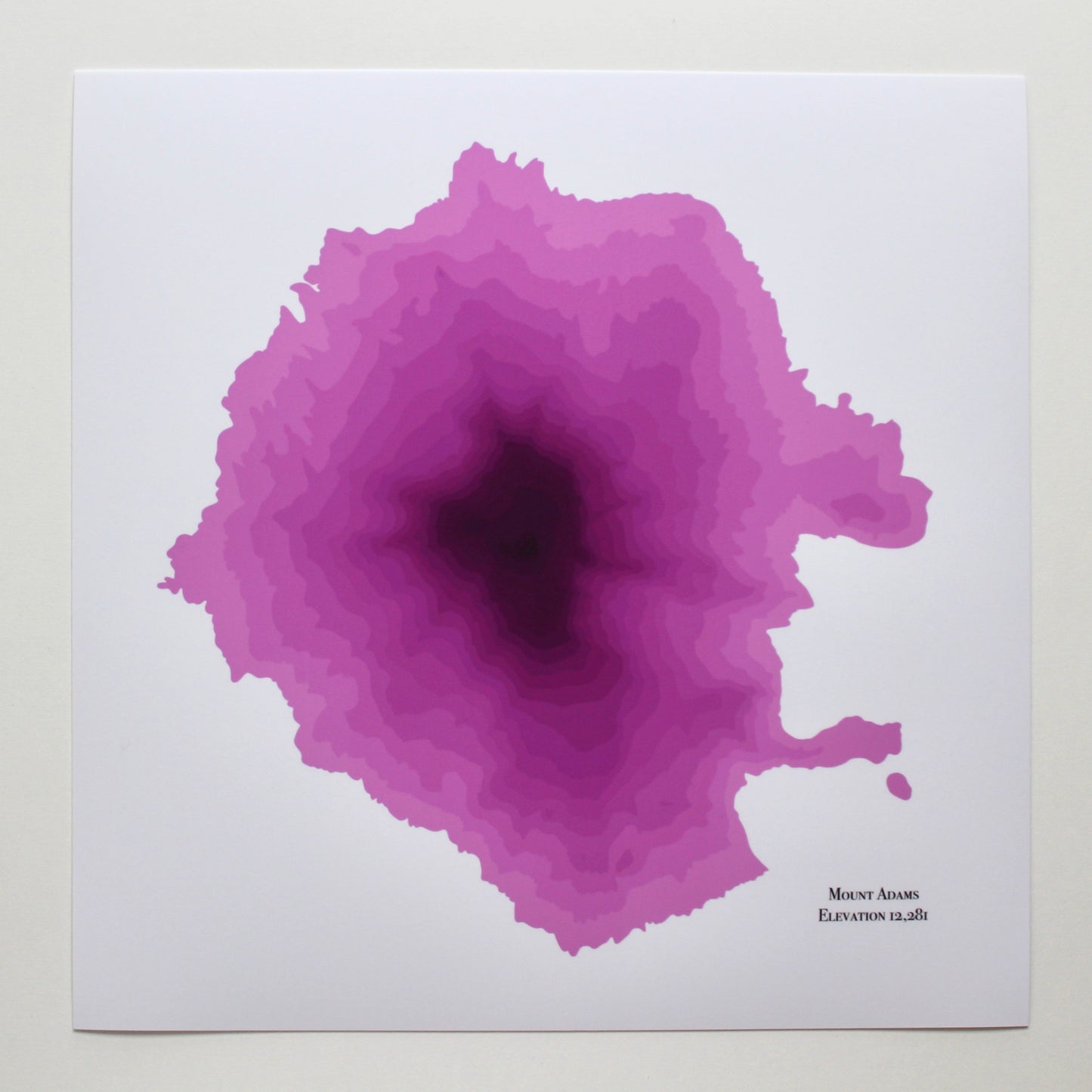 Mt Adams Abstract Topography (Pink)