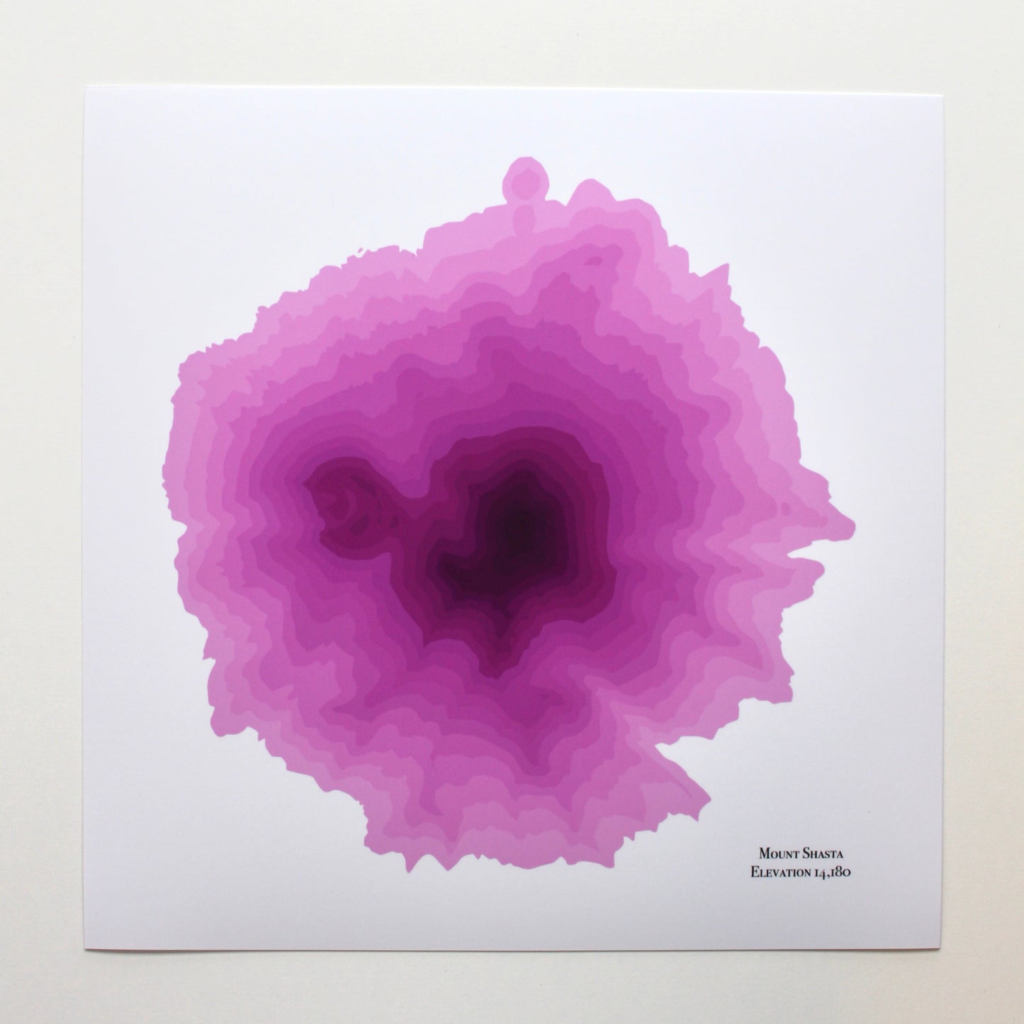 Mt Shasta Abstract Topography (Pink)