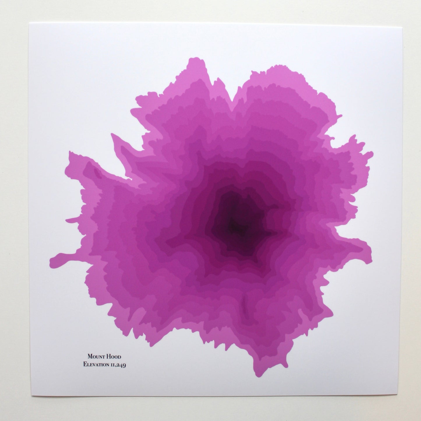 Mt Hood Abstract Topography (Pink)